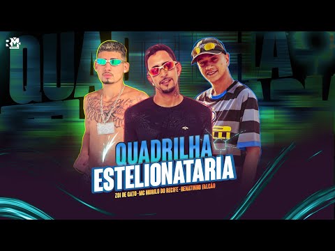 MC MURILO DO RECIFE, MC ZOI DE GATO FEAT. RENATINHO FALCÃO - QUADRILHA ESTELIONATÁRIA  (BNB NO BEAT)