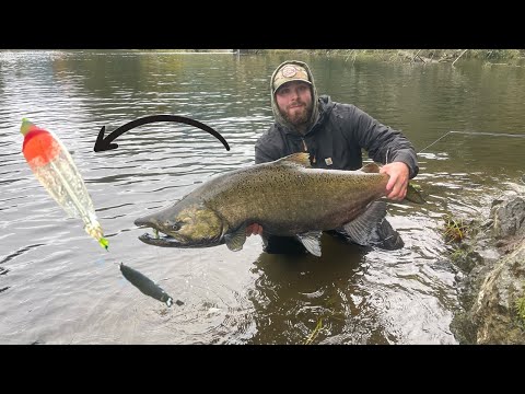 Low Water Salmon Float Fishing Setup (WITH FISH CATCH)