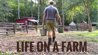 Life On A Farm - Morning & Evening Chores - Our Daily Homestead Routine