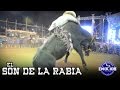 EL SON DE LA RABIA - BANDA 466 PASO A PASO (Estudio 2015)