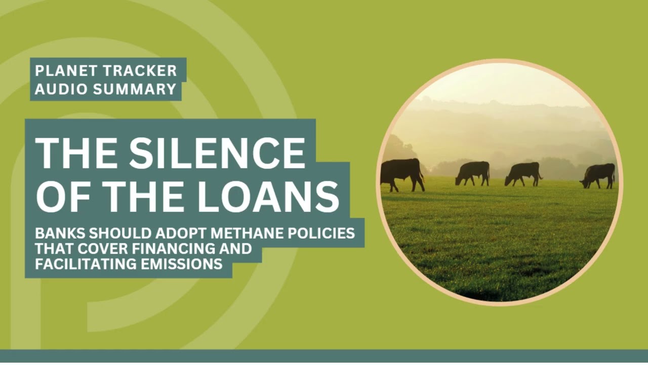 The Silence of the Loans