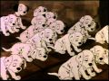 13 My Body - Magic English - Disney 