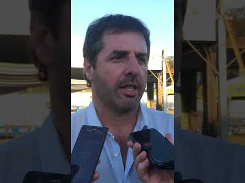 Mauricio Groppo Jura Braford Esteio 2018