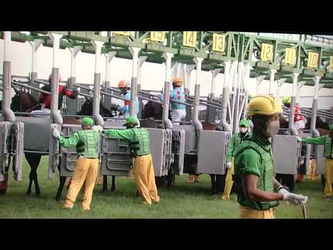 ２０２１菊花賞