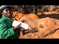 Meet the Men Who Rehabilitate Orphaned Elephants