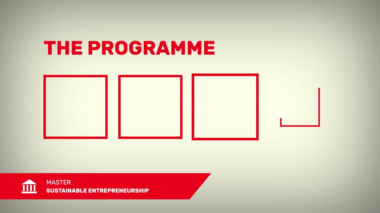 Animation Sustainable Entrepreneurship (MSc)