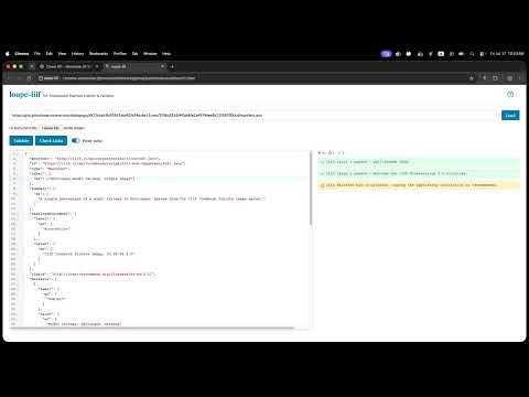Item video thumbnail