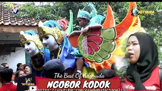 Download lagu NGOBOR KODOK// VOC. MBOK  ENTIN// BUROK ADY MUDA// LIVE PABEDILAN WETAN 26 JAN 2022 mp3