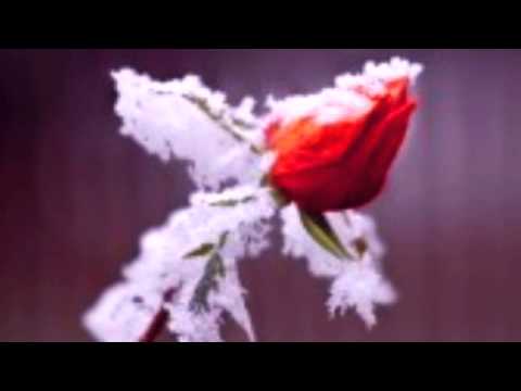 Karel Plíhal - Neopouštěj rám