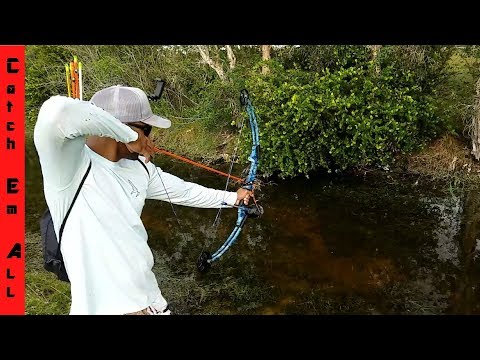 BOWFISHING SLOW MOTION Compound Bow vs Recurve Bow