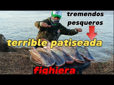 #pesca en fighiera# #lineadepesca #fishing #carretesdepesca #fish#pesca #isla#fish