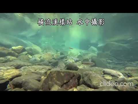 橫流溪水下狀況