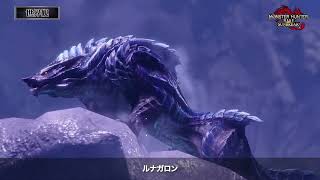 ビルド op
