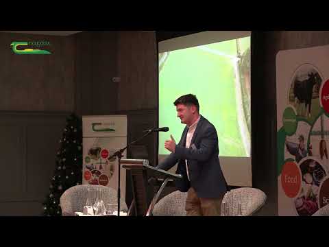 Has red clover a role in your beef production system? - Nicky Byrne