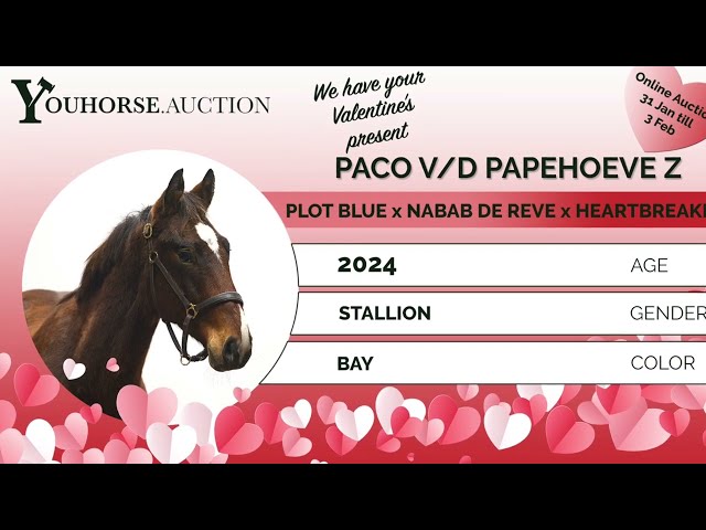 Paco vd Paepehoeve Z