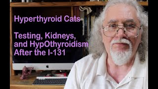 Hyperthyroid Cats: Retesting, Hypothyroidism, and Kidneys Post I-131