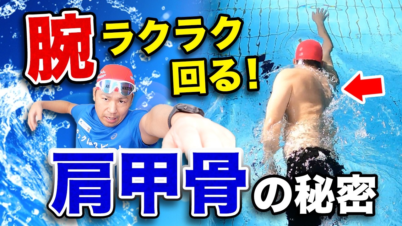 【中高年クロール】腕が重くならない泳ぎ方、ポイントは肩甲骨でした