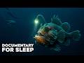 Mariana Trench Secrets Of Earth S Deepest Abyss Documentary For Sleep