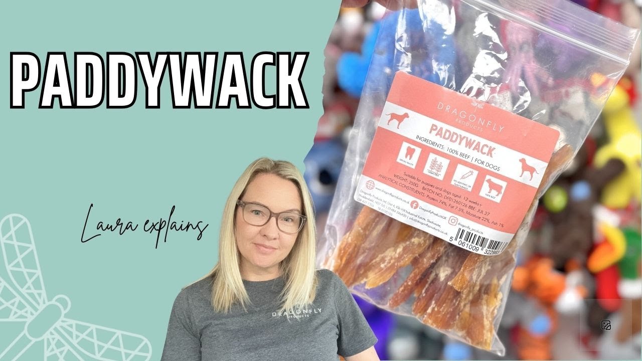 The Benefits of Paddywack for Dogs | Video