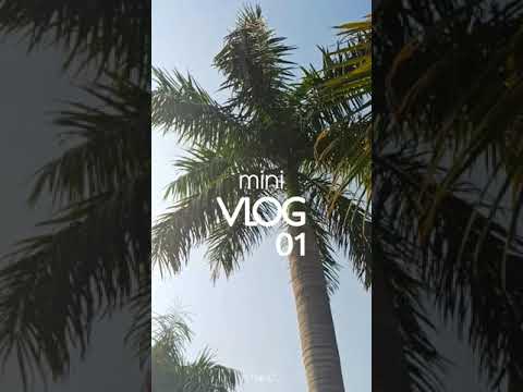 Mini Vlog 01 | Instagram reels | Sean Paul - No Lie ft. Dua Lipa | Shot on Realme 8 | Zodiac