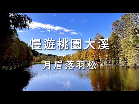 Cascada Hanyu Daxi Moonbei Pino caído | La ruta del pino caído está completamente dividida y el hermoso pino caído se refleja en la luz del lago | Recomendación del punto panorámico del recorrido turístico de Taoyuan