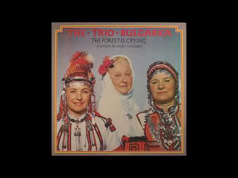 The Trio Bulgarka - Zaplakala E Gorata (The Forest Is Crying)