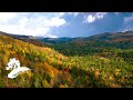 Craig Duncan - Bluegrass Homecoming [Visualizer]