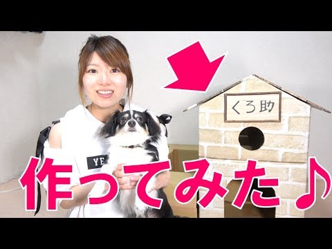超力作ダンボールハウス作ってみた！【毎日19時！立石学園】