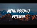 Peterpan Menunggumu Lirik Lagu
