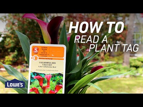 如何閱讀植物標籤 (How To Read a Plant Tag)