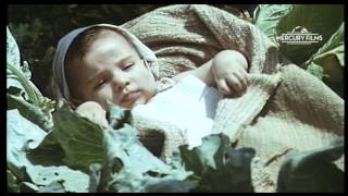 SABIAS QUE... MARCELINO PAN Y VINO