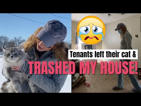 Tenant Destroyed my Rental House & Left their Cat! My Rental Property is Trashed!!