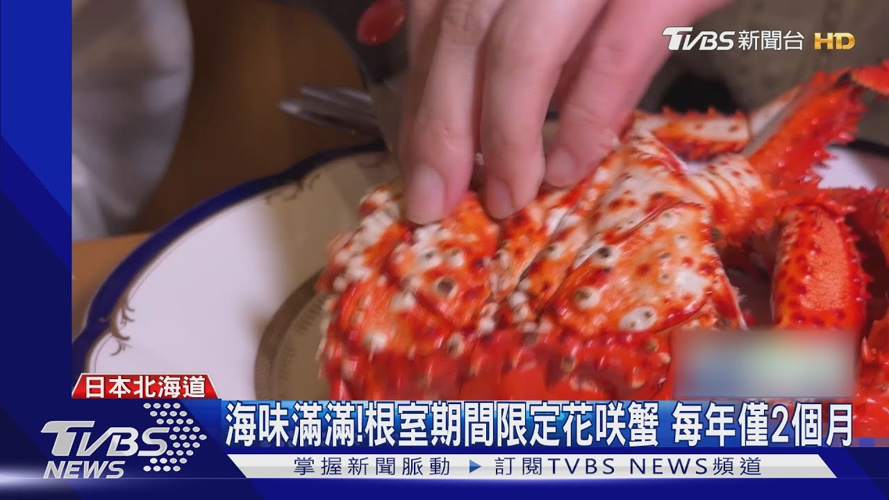 海味滿滿!根室期間限定花咲蟹 每年僅有2個月可捕撈