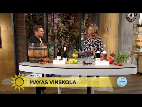 Våren närmar sig — så väljer du rätt vin  - Nyhetsmorgon (TV4)