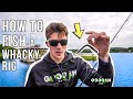 HOW And WHERE TO FISH A WHACKY RIG LUNKER LOG TIPS