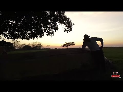 Plegaria por el Campo - Villamil Torres "El Azulejo del Llano"