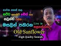 Mersalin Pathirana With Old Sunflowers Live In Sapugaskanda Re Created Quality Sounds