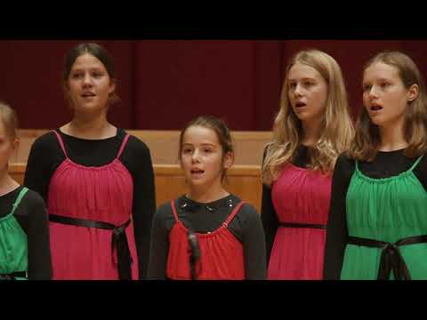 beVOICEd 2019 - Waelrant Kinderkoor+   (Borgerhout) o.l.v. Marleen De Boo