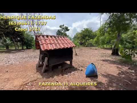 FAZENDA NO TOCANTINS 11 ALQUEIRES BEIRA RIO SONO (63)98411-1737