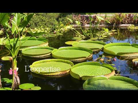 Jardin botanique Val Rahmeh-Menton