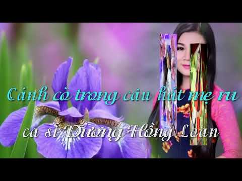 Cánh cò trong câu hát mẹ ru - Dương Hồng Loan