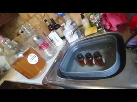 HBW#5 Return to Brewtube and a Wiggley Bush Cyser