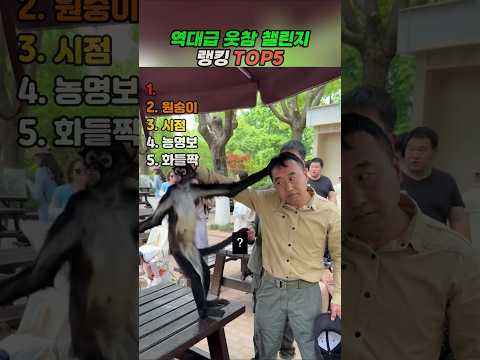역대급 웃음참기 챌린지 렝킹 TOP5