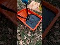 Slip-Proof Your Steps: A DIY with SlipDoctors Tuff Grip Extreme Non-Skid Paint!  #slipresistant #diy