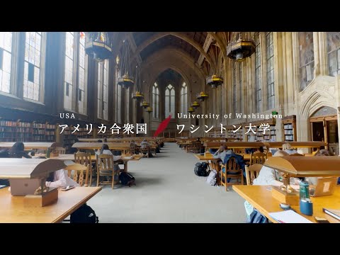 早稲田大学留学リポート/Study Abroad Report 2025 #5 ワシントン大学/University of Washington, USA