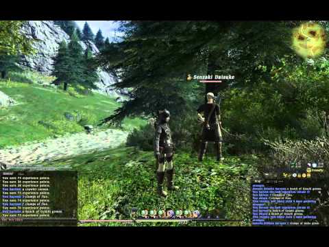 104 Let's Play Fianl Fantasy XIV - Getting Level 50 Botanist [part2]
