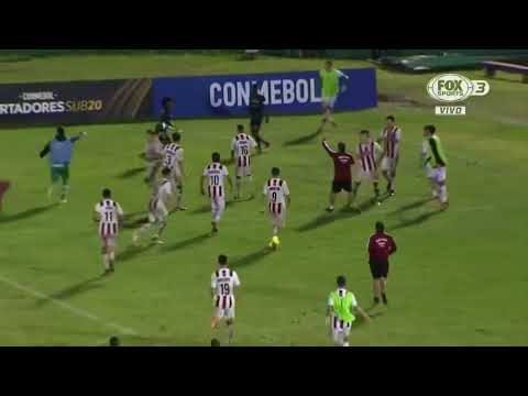 Soccer Player Picks Up Corner Flag & Uses It During Brawl
