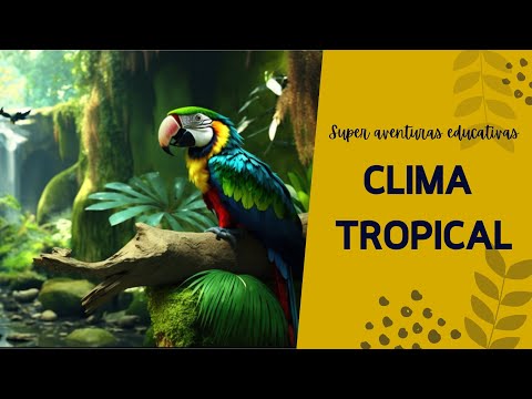 Descubriendo el clima tropical: Aventura en la Selva para niños curiosos