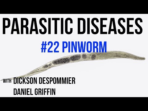 pinworm telek