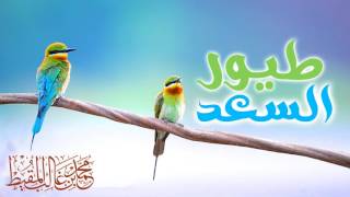 Download lagu Toyor As-Sa'ad : Muhammad al Muqit mp3